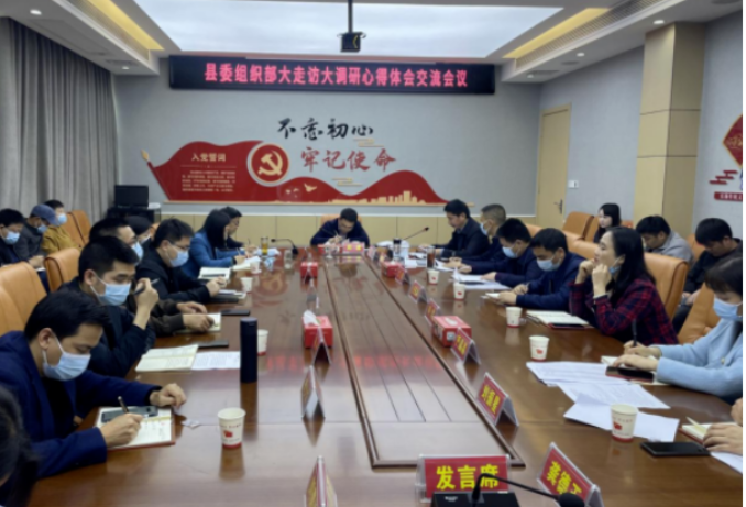 澧县县委组织部召开大走访大调研心得体会交流会议