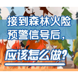 预警齐发！注意防范！
