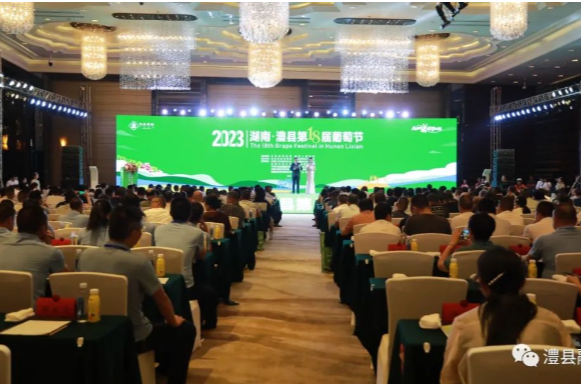 2023湖南·澧县第十八届葡萄节盛大开幕