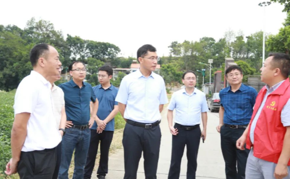 王启武调研农村主干道路沿线人居环境专项整治工作并开展巡林、巡田