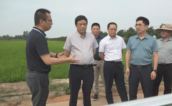 县领导调研高标准农田建设工作