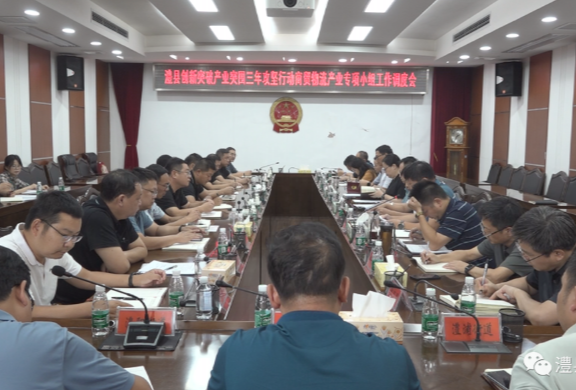 澧县创新突破产业突围三年攻坚行动商贸物流产业专项小组工作调度会召开