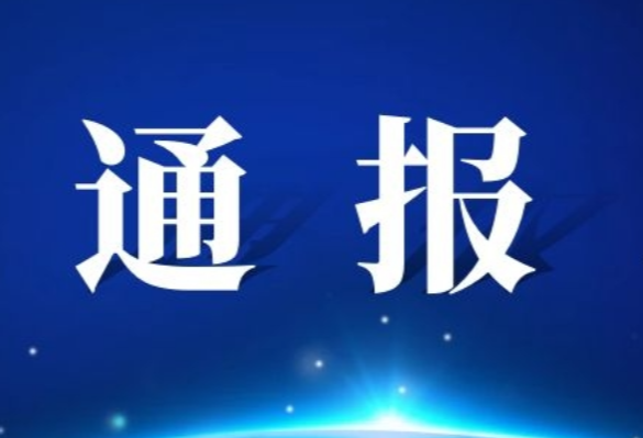 澧县大堰垱镇九旺村原党总支书记、村委会主任严芳被开除党籍
