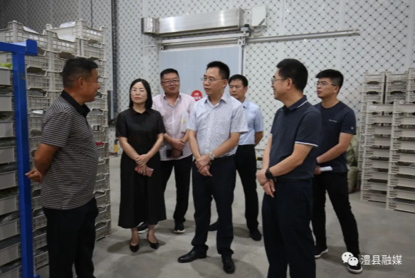 朱正权调研葡萄产业发展情况