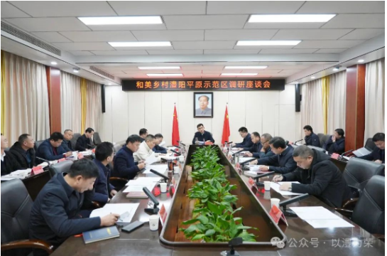 【乡村振兴进行时】王启武主持召开和美乡村澧阳平原示范区调研座谈会