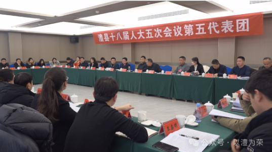 【澧县第十八届人大第五次会议】各代表团分组审议大会报告