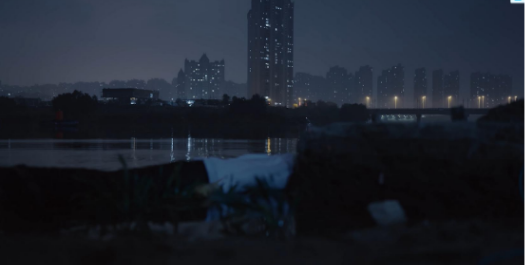 《鹦鹉的营生》