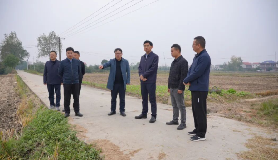 王启武调研澧阳街道秸秆综合利用工作