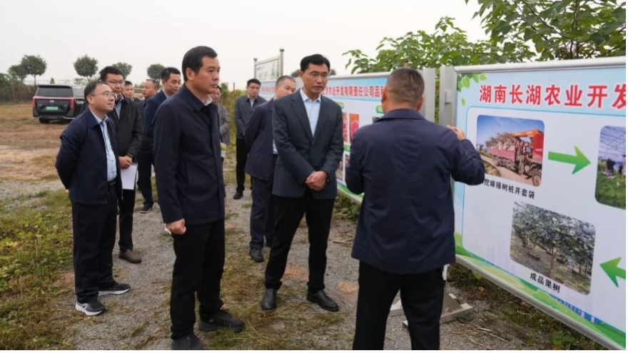 澧县县委书记王启武会见临澧县委考察组一行