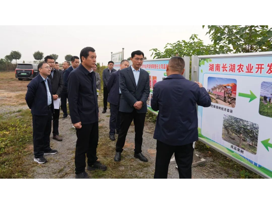 澧县县委书记王启武会见临澧县委考察组一行