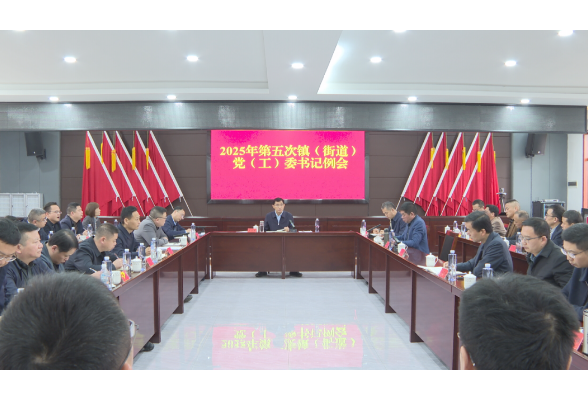 王启武主持召开2025年第五次镇（街道）党（工）委书记例会