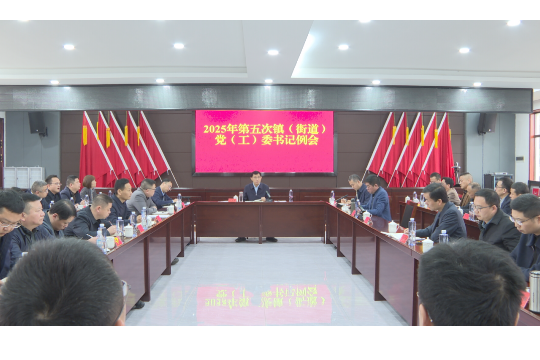 王启武主持召开2025年第五次镇（街道）党（工）委书记例会