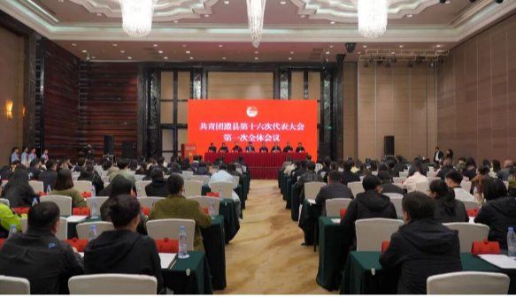 共青团澧县第十六次代表大会第一次全体会议召开