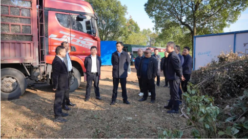 王启武调研王家厂镇重点工作