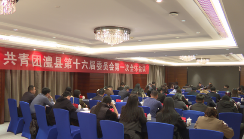 共青团澧县第十六届委员会第一次全体会议胜利闭幕