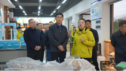 王启武调研电商行业发展