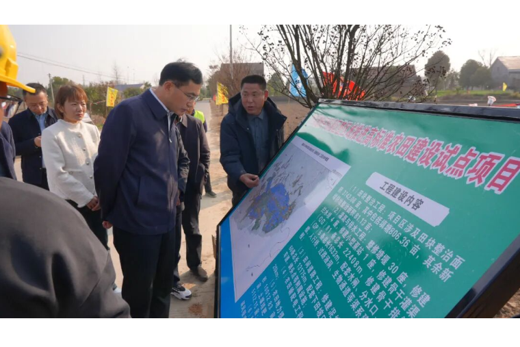 王启武调研督导高标准农田建设