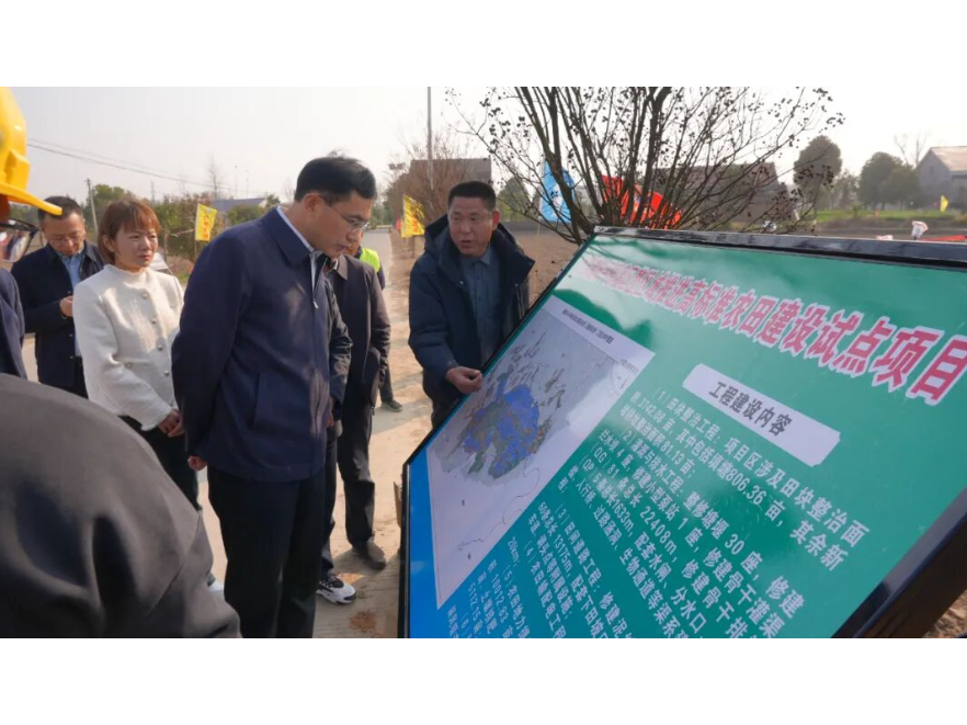 王启武调研督导高标准农田建设