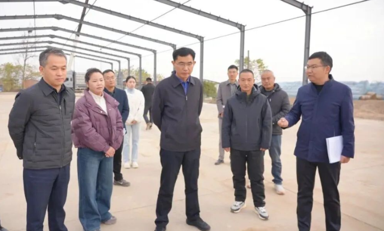 王启武赴镇街调研重点工作