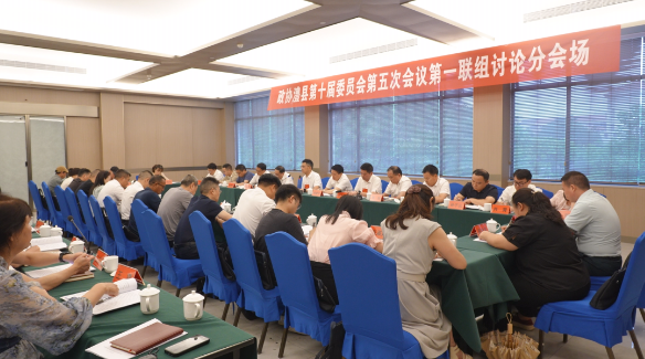 【政协澧县第十届委员会第五次会议】各联组开展讨论协商