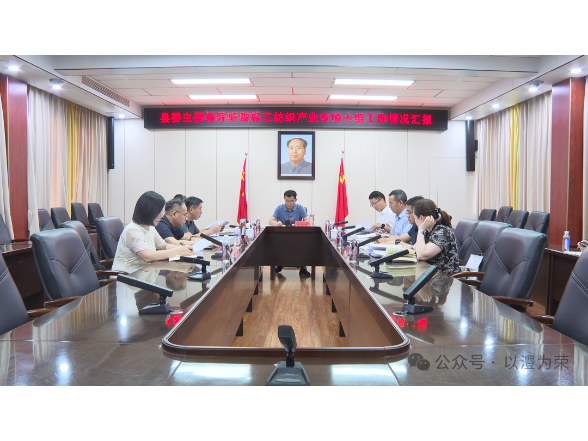 王启武听取轻工纺织产业专项小组工作情况汇报