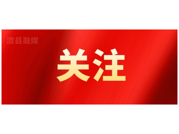 冷亮调研国资中心学习教育整改工作