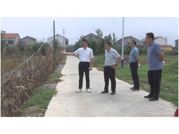 县领导督导秸秆禁限烧管控和综合利用工作