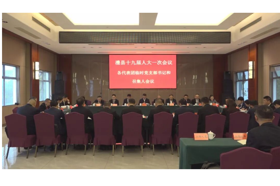 澧县十九届人大一次会议举行各代表团临时党支部书记和召集人会议