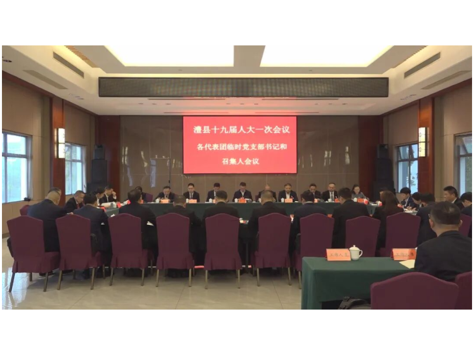 澧县十九届人大一次会议举行各代表团临时党支部书记和召集人会议