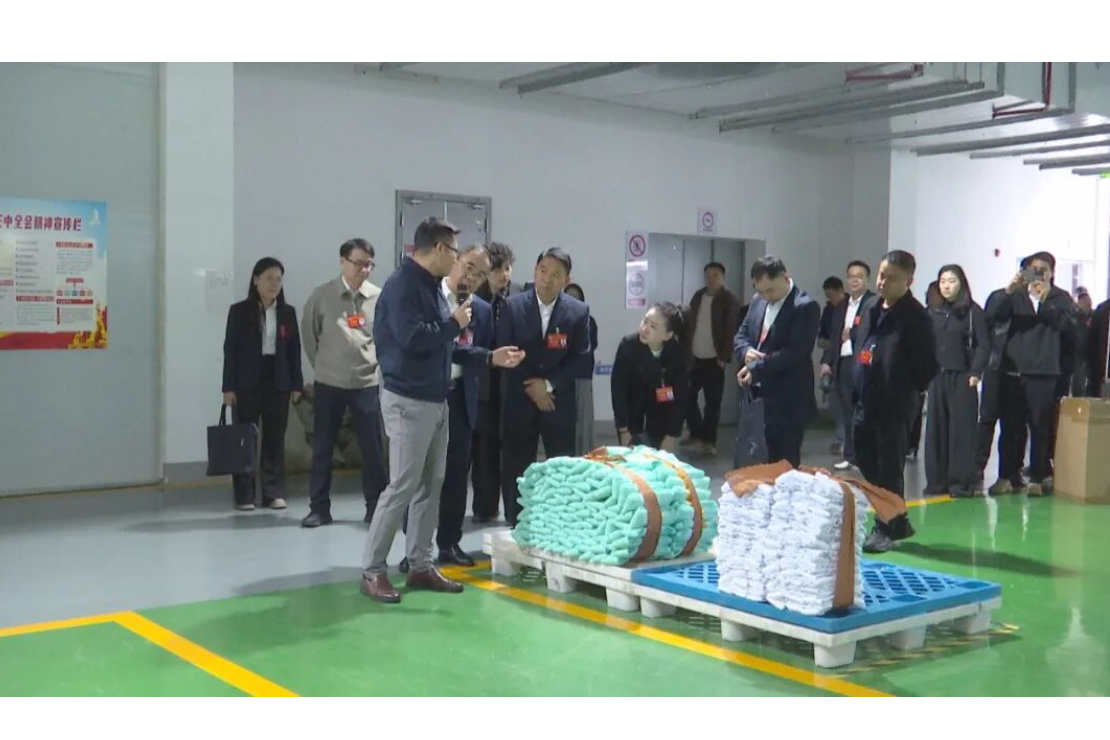 政协澧县十一届一次会议组织委员集中视察全县重点建设项目