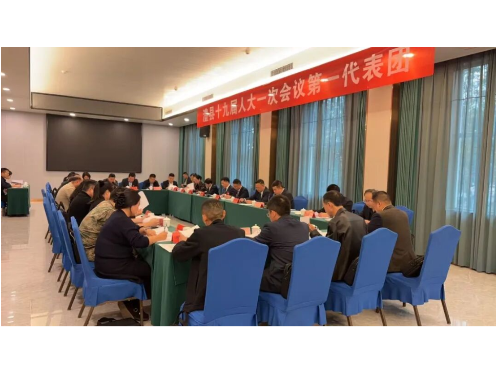 澧县十九届人大一次会议各代表团举行第四次、第五次会议