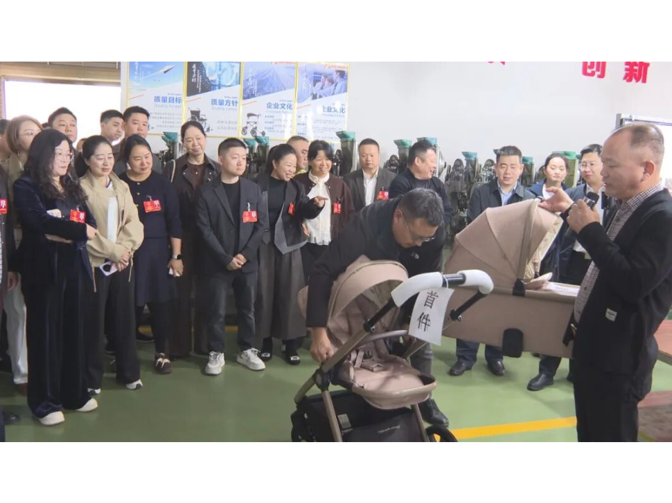澧县十九届人大一次会议组织代表视察全县重点项目