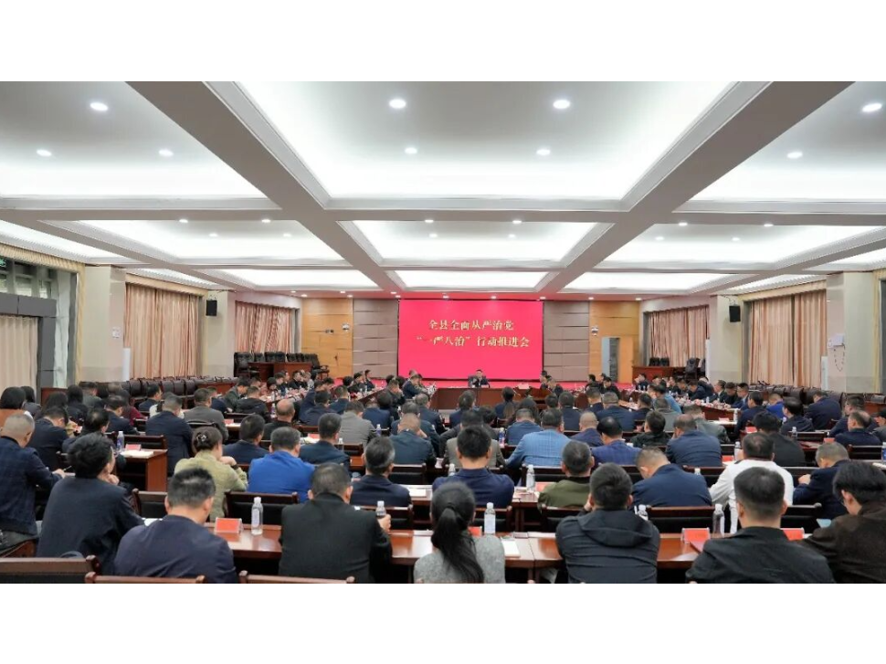 全面从严治党“一严八治”工作推进会召开
