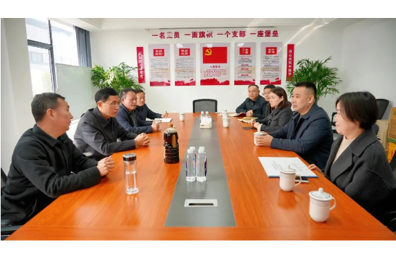 王启武调研部分重点企业生产建设情况