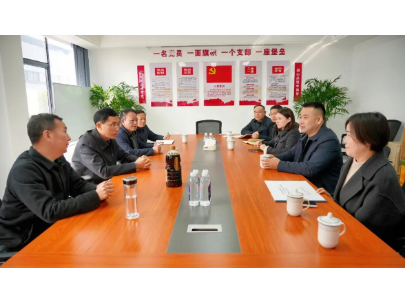 王启武调研部分重点企业生产建设情况