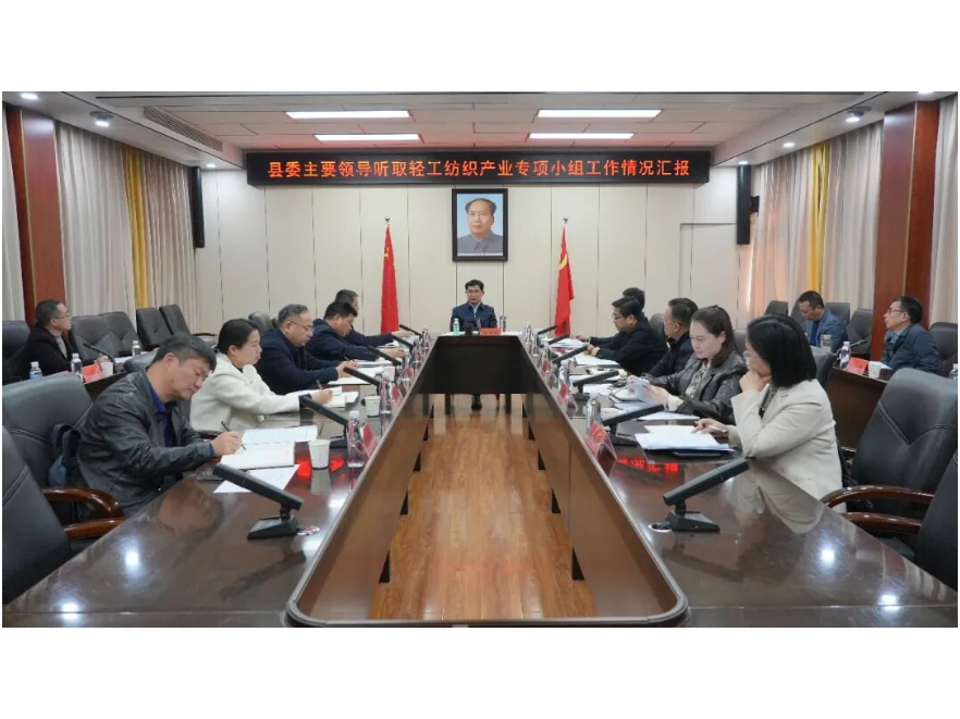 【拼搏有澧进行时】王启武听取轻工纺织产业专项小组工作情况汇报