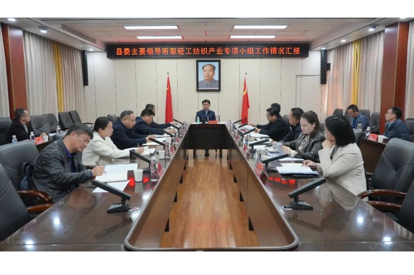 【拼搏有澧进行时】王启武听取轻工纺织产业专项小组工作情况汇报