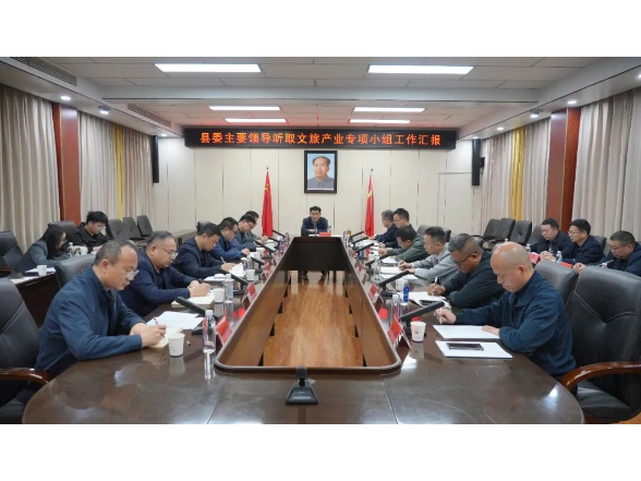 王启武专题听取文旅产业专项小组工作汇报