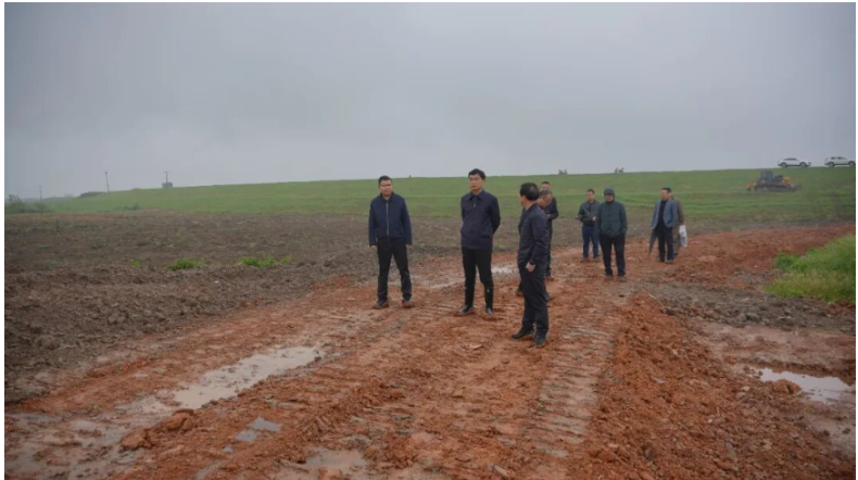 王启武赴澧南镇调研并开展巡河、巡林