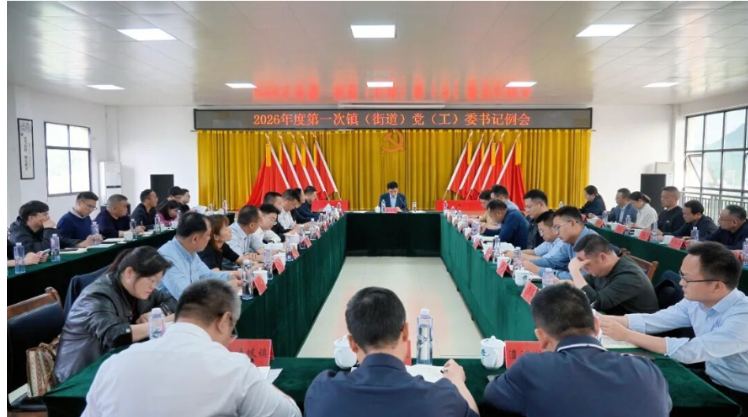 王启武主持召开2026年第一次镇（街道）党（工）委书记例会