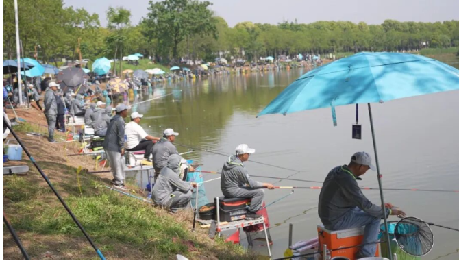 湖南省钓鱼大赛在城头山景区成功举办