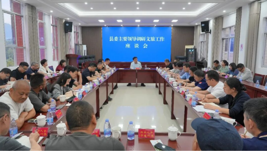 王启武调研文旅工作并督导安全生产