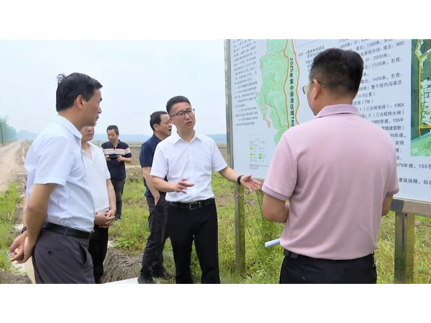 冷亮调研全域土地综合整治并督导安全生产等工作