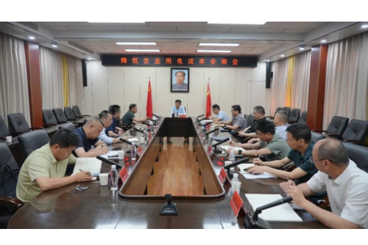 王启武主持召开降低企业用电成本会商会