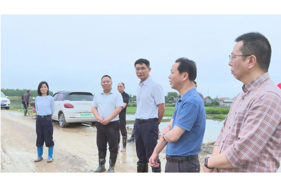 王启武调度涔水流域防汛工作