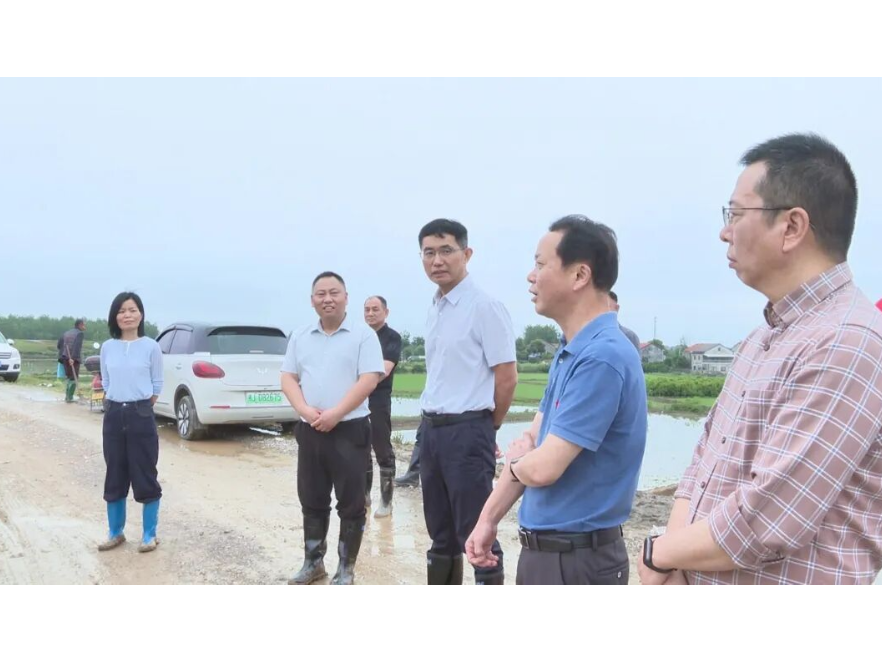 王启武调度涔水流域防汛工作