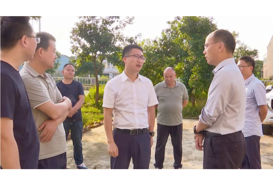 冷亮督导防汛救灾及安全生产工作