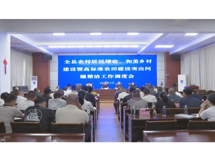 澧县召开农村居民增收、和美乡村建设暨高标准农田建设突出问题整治工作调度会
