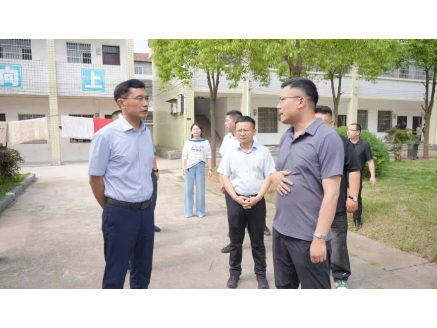 王启武赴官垸镇调研重点工作