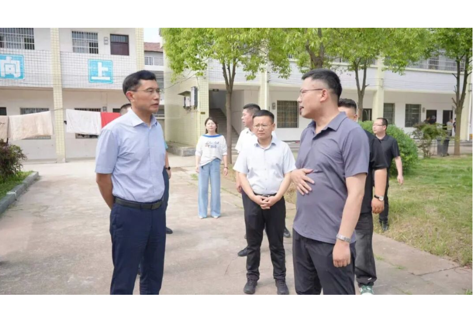 王启武赴官垸镇调研重点工作